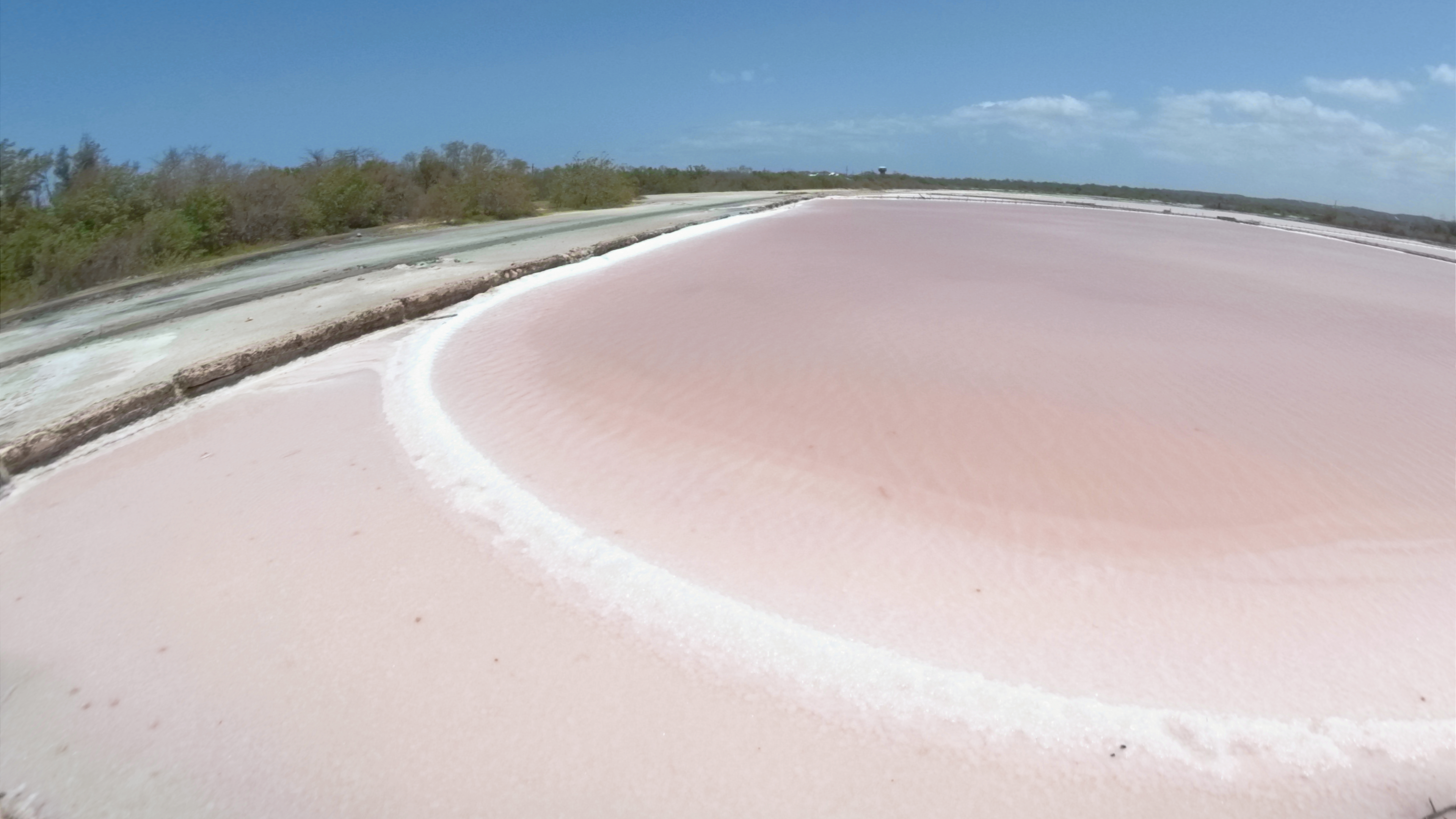 Pink Salt pool